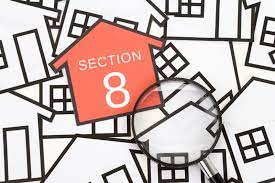 Section 8 